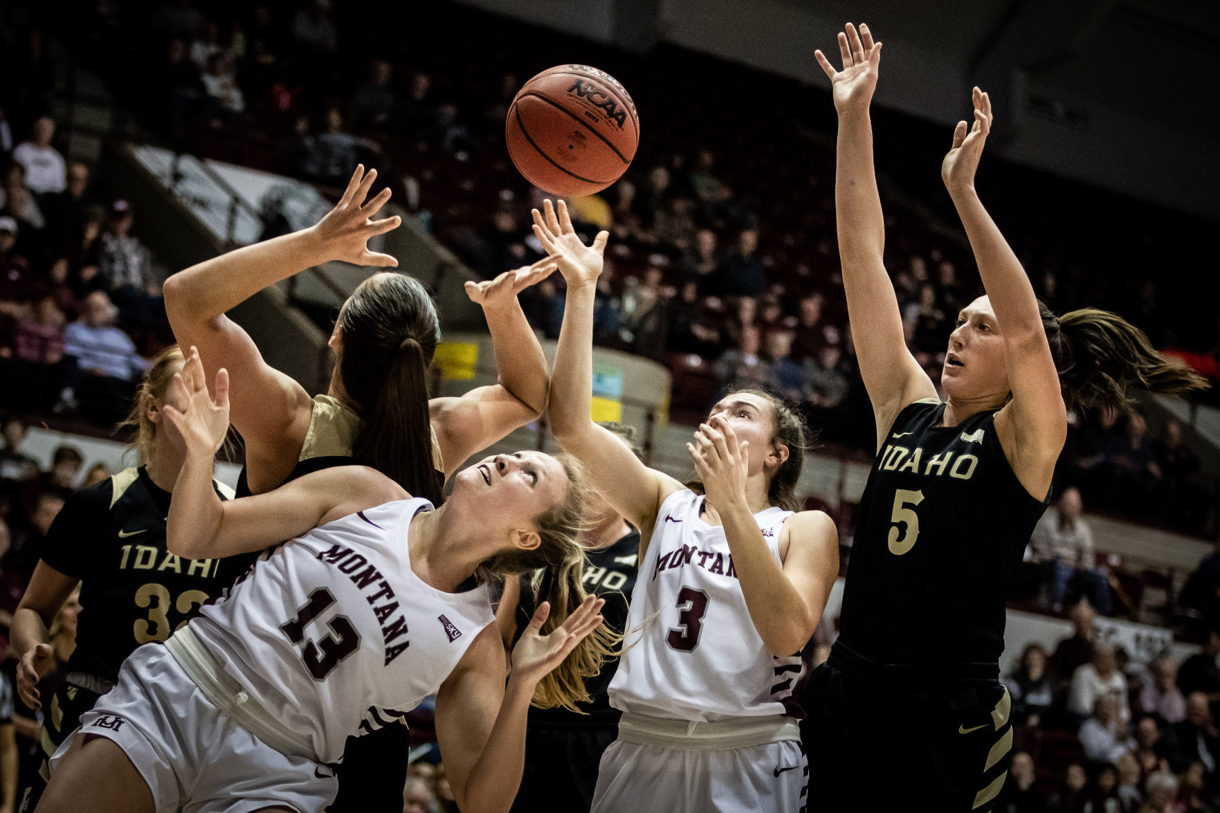 Lady Griz v. Vandals 1
